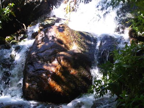 IMG01354-20130803-1512