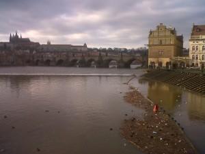 IMG01364-20120301-17021-300x225