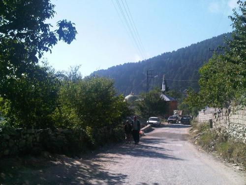 IMG01364-20130803-16301