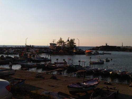 IMG01457-20130901-1819