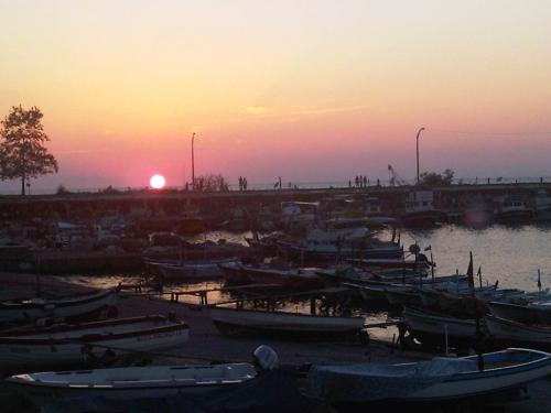 IMG01458-20130901-1925