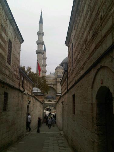 IMG01552-20130920-1418