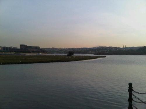 IMG01564-20130930-1751